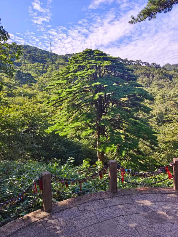 黄山 · 07