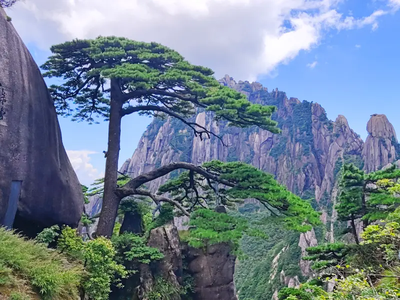 黄山 · 68