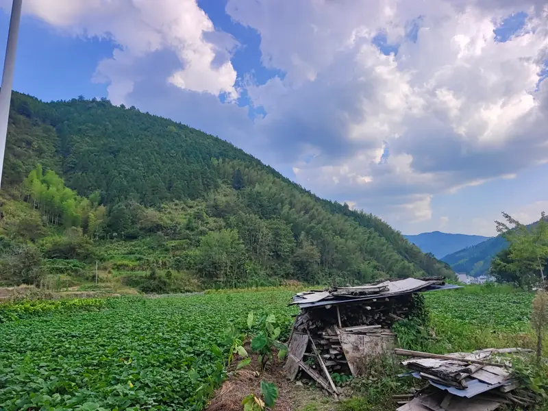 三清山 · 25