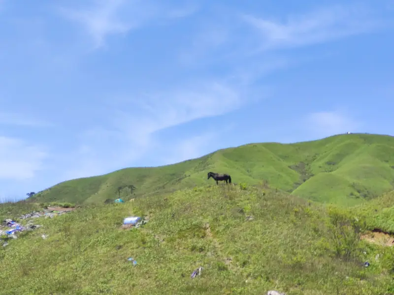 武功山沈明线 · 42
